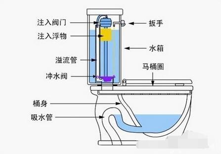 哪種馬桶不堵塞，水還不濺pp 賣了10年馬桶才明白（哪種馬桶不堵塞）(3)