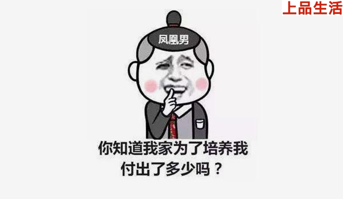 鳳凰男是什么意思