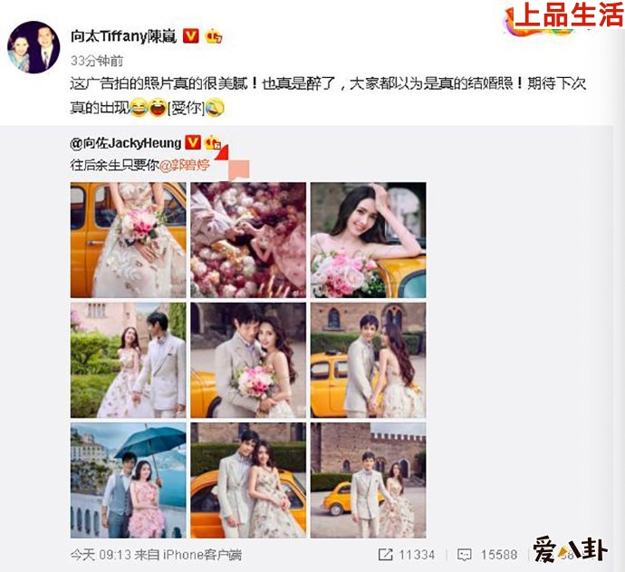 向佐郭碧婷兩人的結(jié)婚是假的？