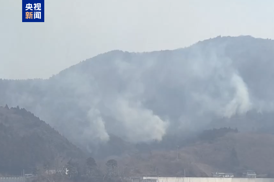 日本遭遇50年來嚴(yán)重山火：過火面積相當(dāng)于3600個足球場